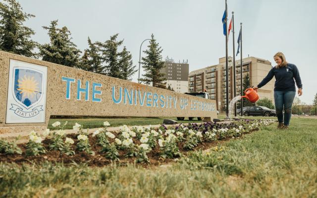 Groundskeeper watering a flower bed in front of the ULethbridge sign