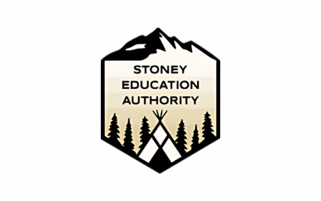 stoney education logo