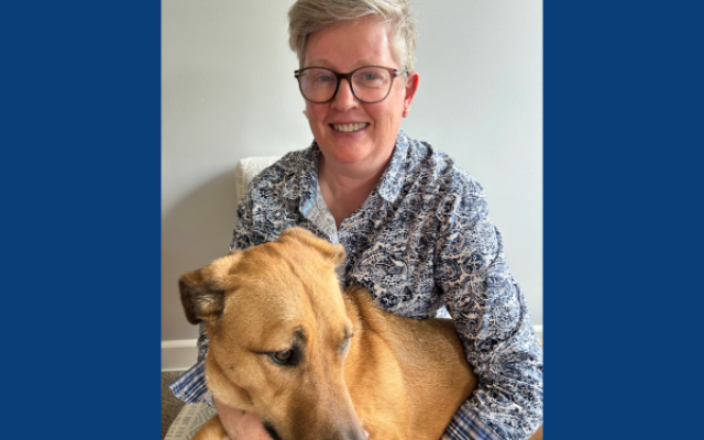 Josie and Tumble, a dog, blue background