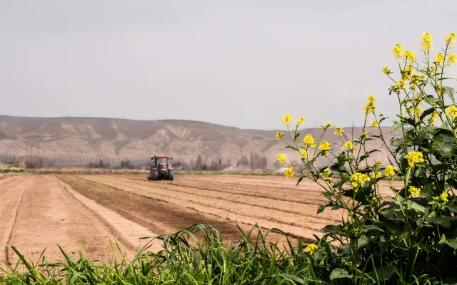 agriculture