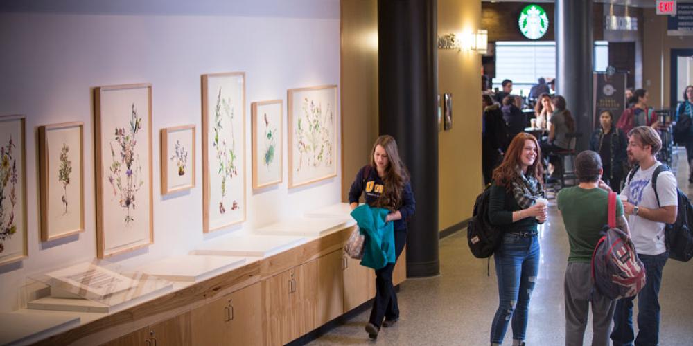 Gallery space on level 9 of library building