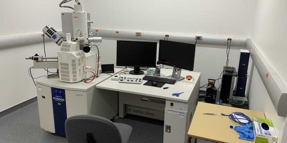 Scanning Transmission Electron Microscope