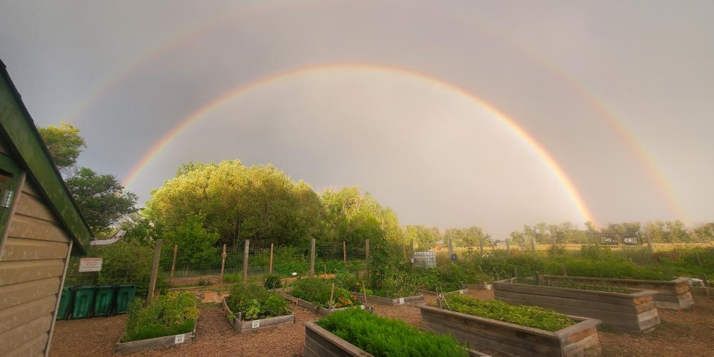 picture of the campus gardens with a doubel rainbow above them