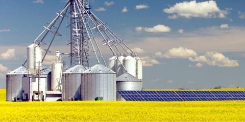 A field of canola, grain bins, and solar panels somewhere on the Alberta prarie.