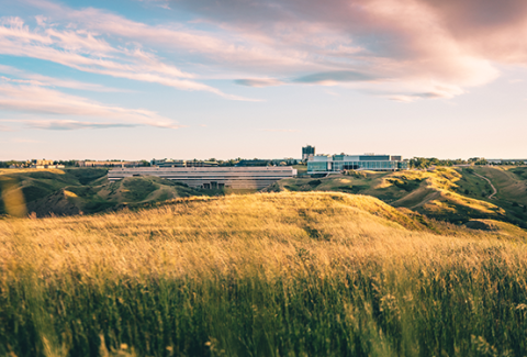 University of Lethbridge Campus