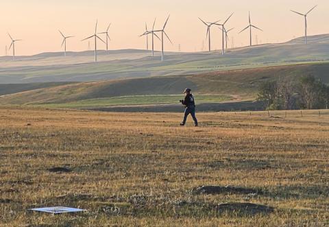 A student collects data in the field