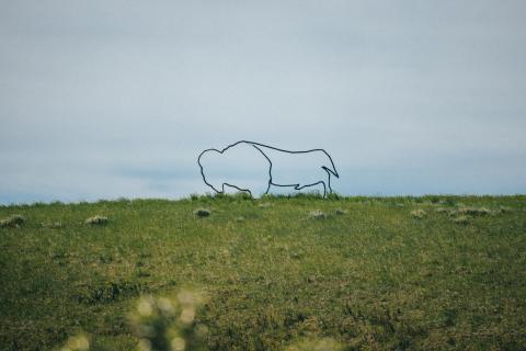 Buffalo Sculpture