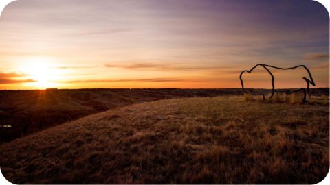 Buffalo sculpture on a field on the University of Lethbridge Campus during a sunrise