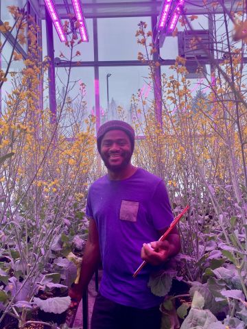 User in the greenhouse