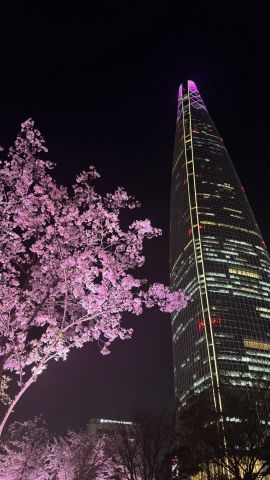 Konkuk Lotte tower